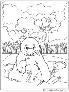 Panda animais fofinhos para colorir e pintar imprimir PDF
