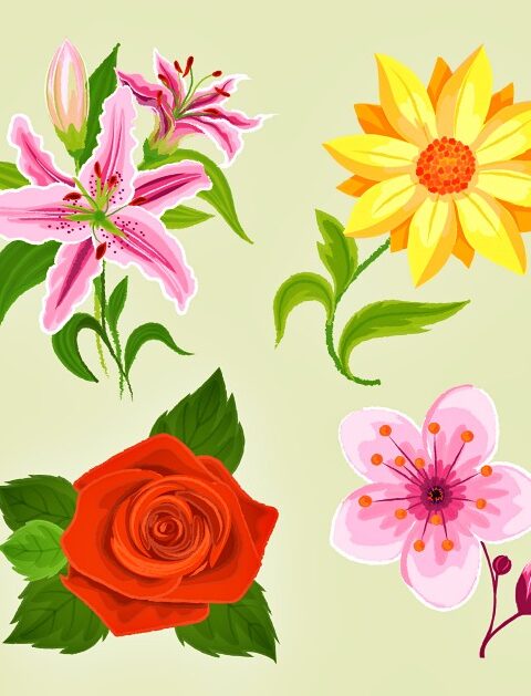 Desenhos de Flores para imprimir PDF e colorir