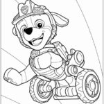 Desenho Patrulha Canina para colorir e pintar - imprimir PDF