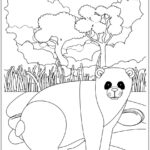 Panda animais fofinhos para colorir e pintar imprimir PDF