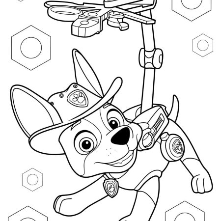 Desenhos Patrulha Canina Para Colorir Imprimir PDF