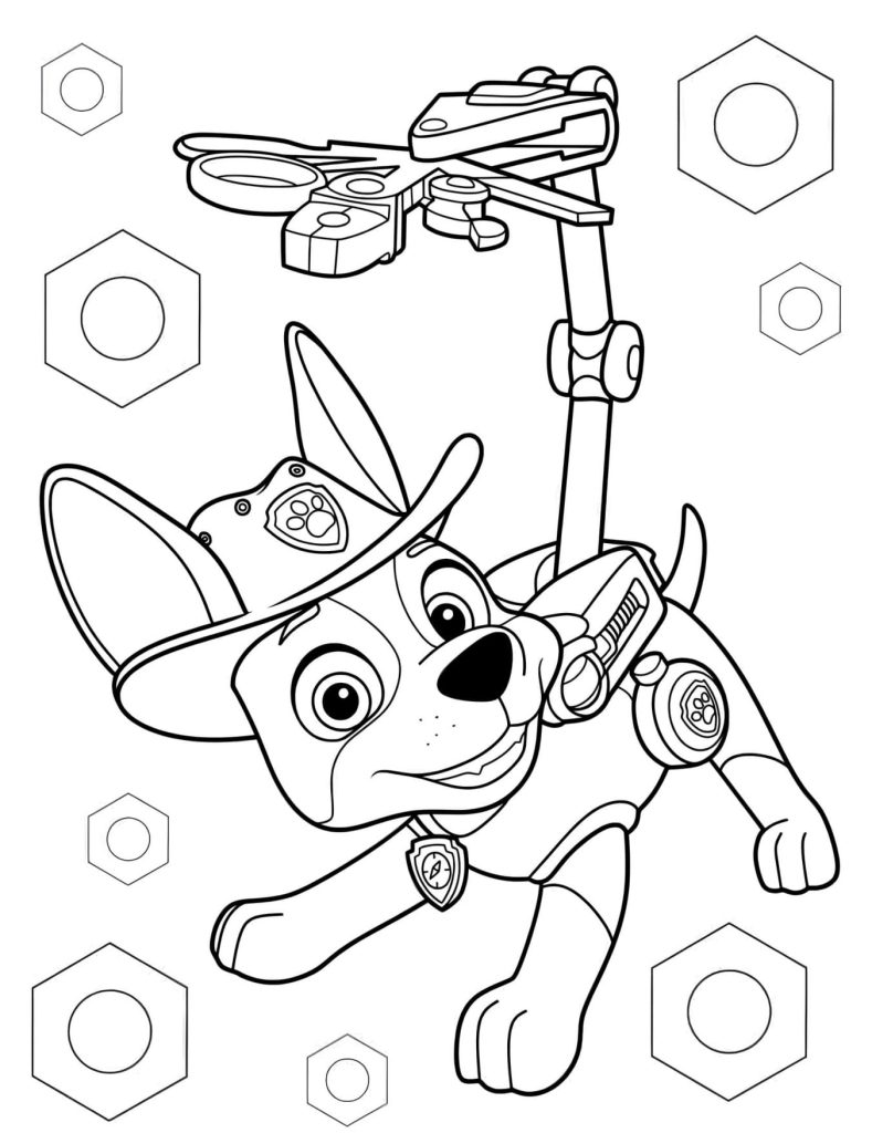Desenhos Patrulha Canina Para Colorir Imprimir PDF