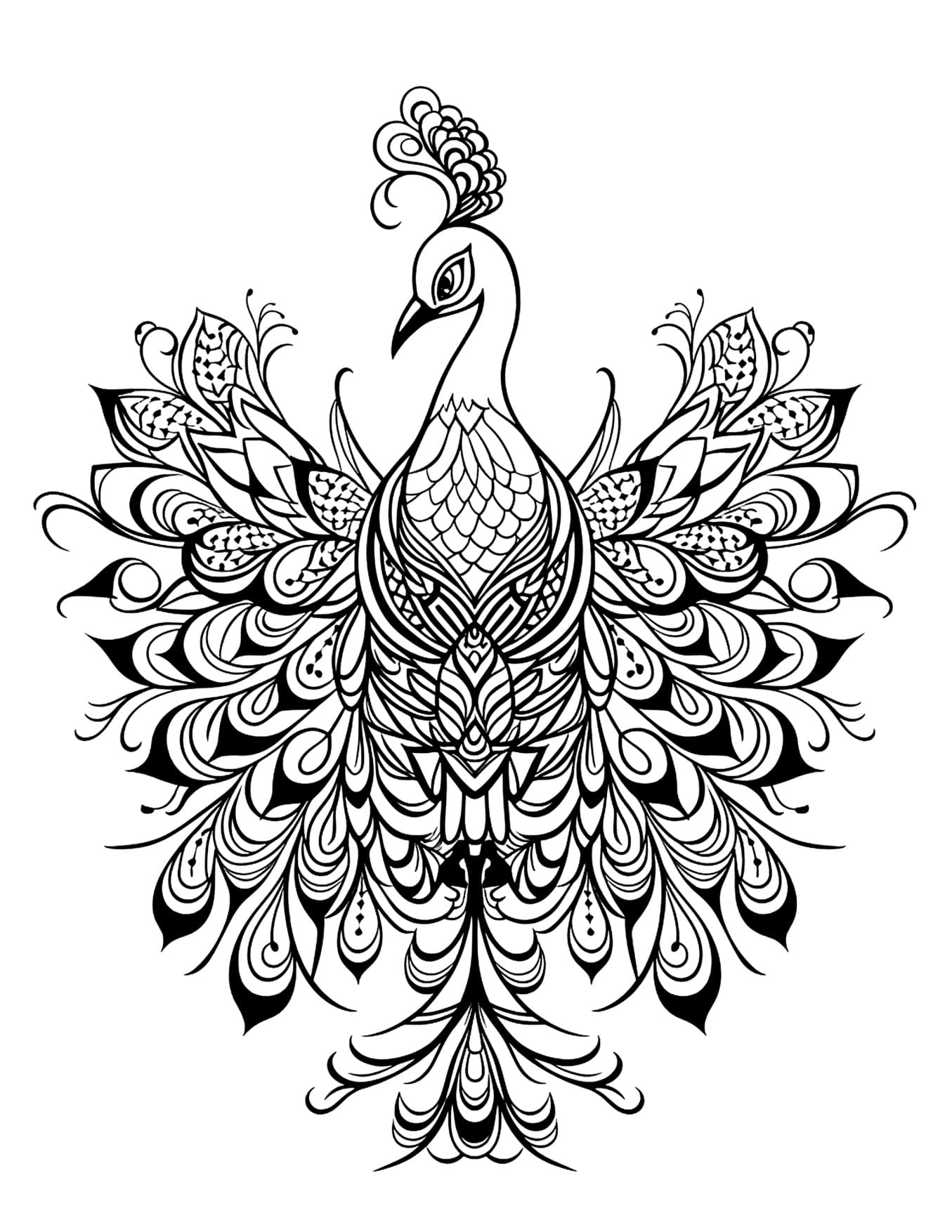 Pavão Mandala Animal Para Colorir Imprimir PDF