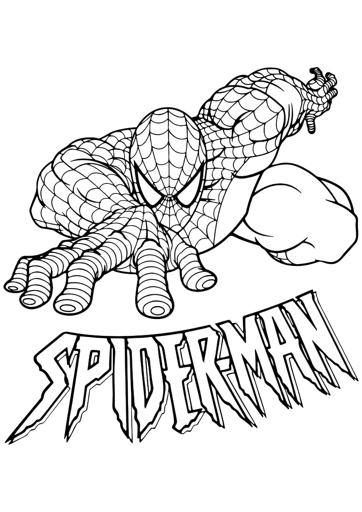 Desenhos do Homem Aranha Para Colorir Imprimir PDF