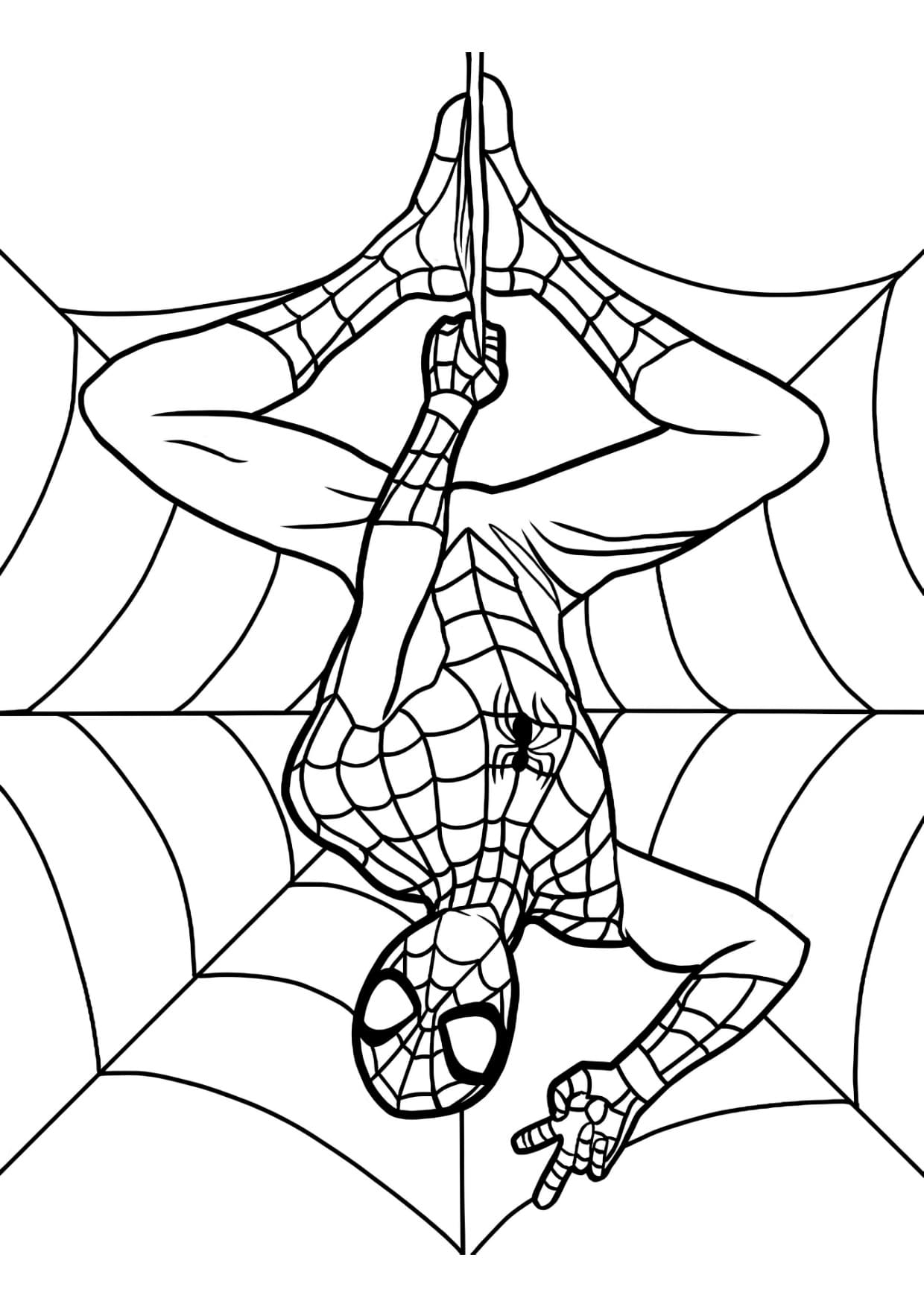 Desenhos do Homem Aranha Para Colorir Imprimir PDF