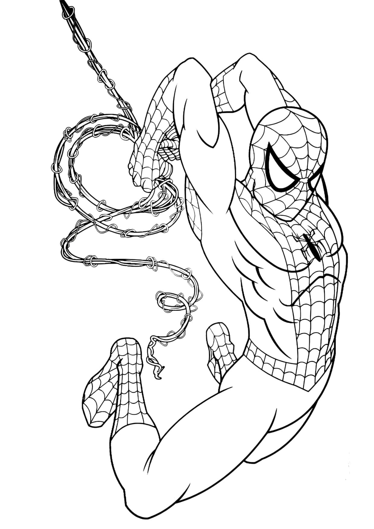 Desenhos do Homem Aranha Para Colorir Imprimir PDF