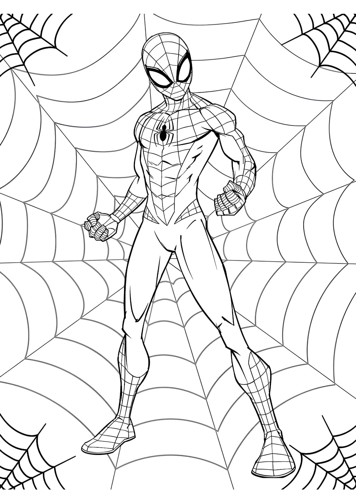 Homem Aranha Desenhos Para Colorir Imprimir PDF