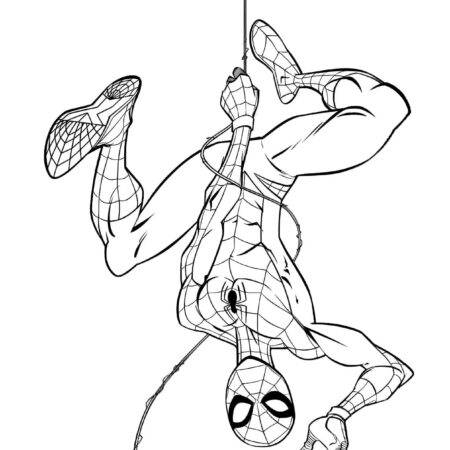 Desenhos do Homem Aranha Para Colorir Imprimir PDF