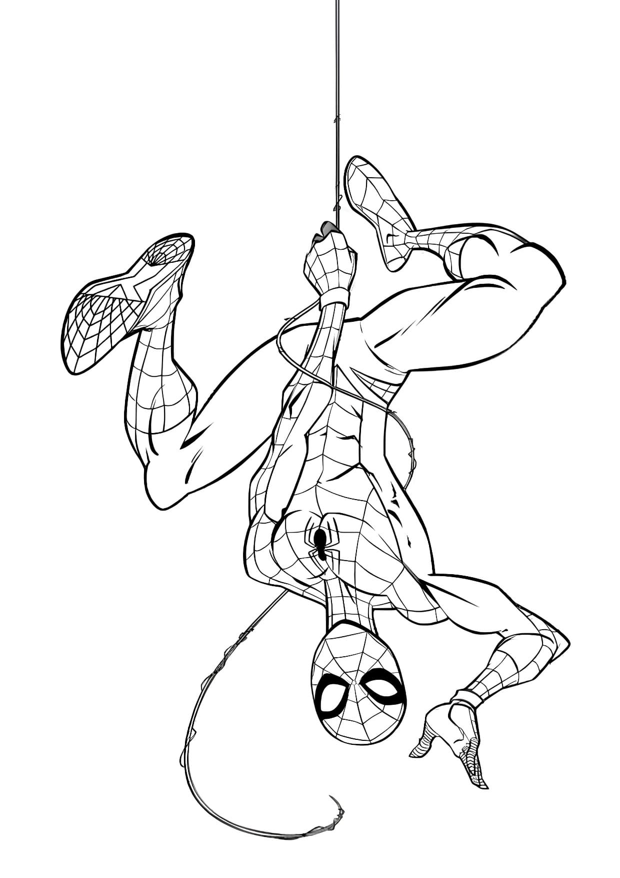 Desenhos do Homem Aranha Para Colorir Imprimir PDF