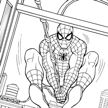 Desenhos do Homem Aranha Para Colorir Imprimir PDF