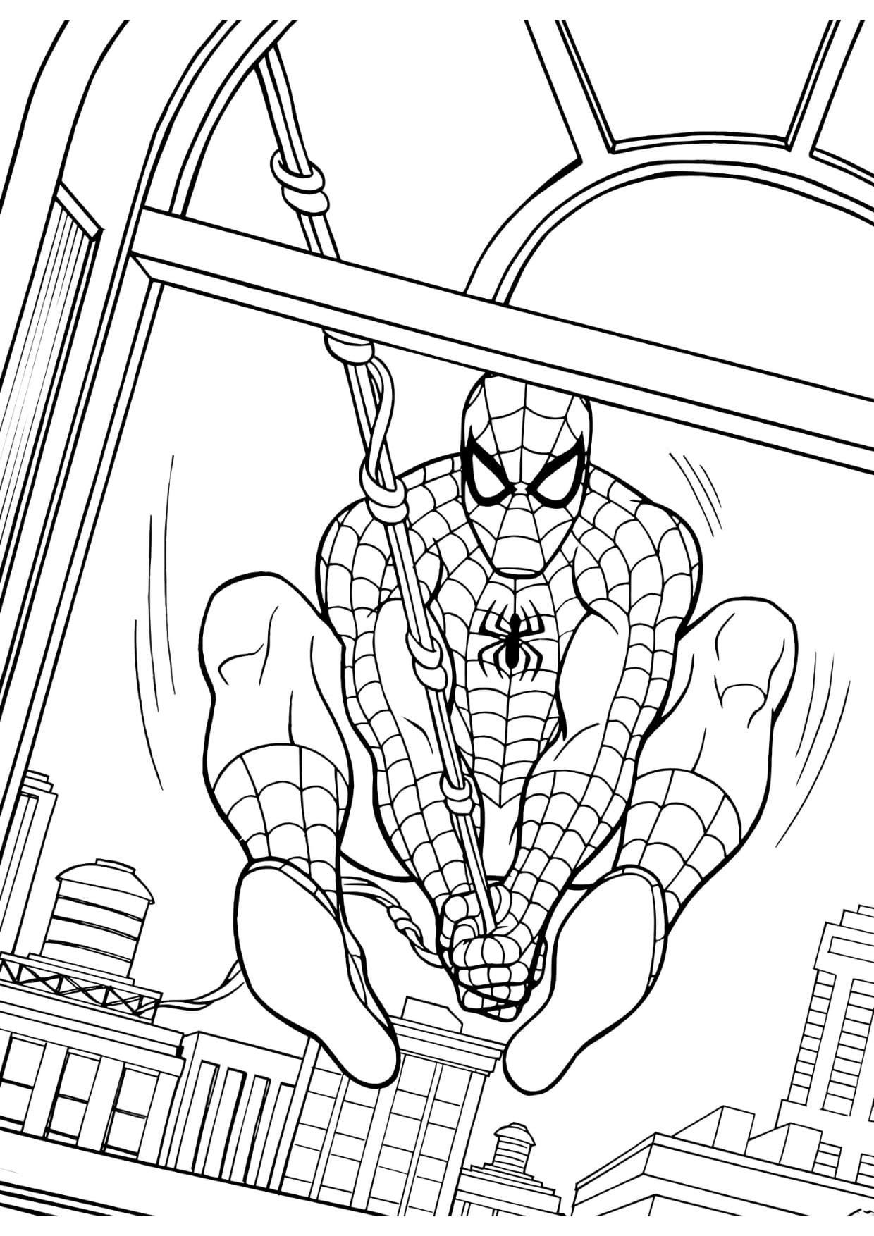 Desenhos do Homem Aranha Para Colorir Imprimir PDF