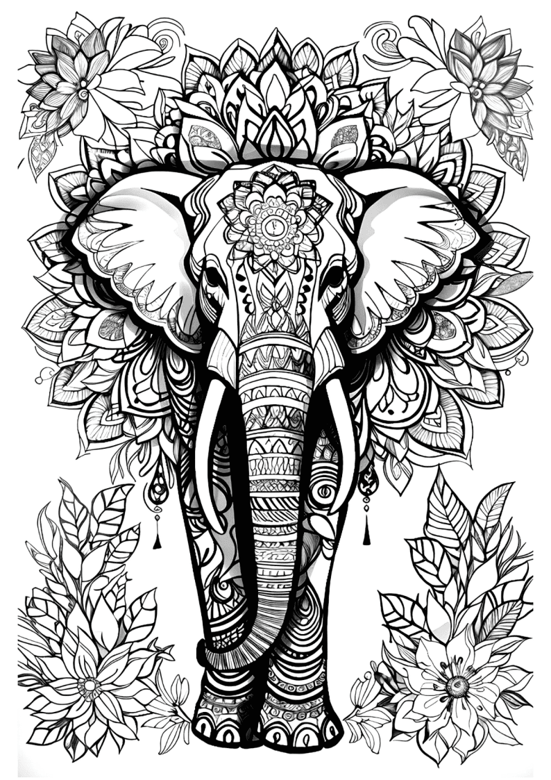 Pacote 365 Desenhos Mandalas Para Adultos Colorir PDF Pacote 365 Desenhos Mandalas Para Adultos Colorir PDF