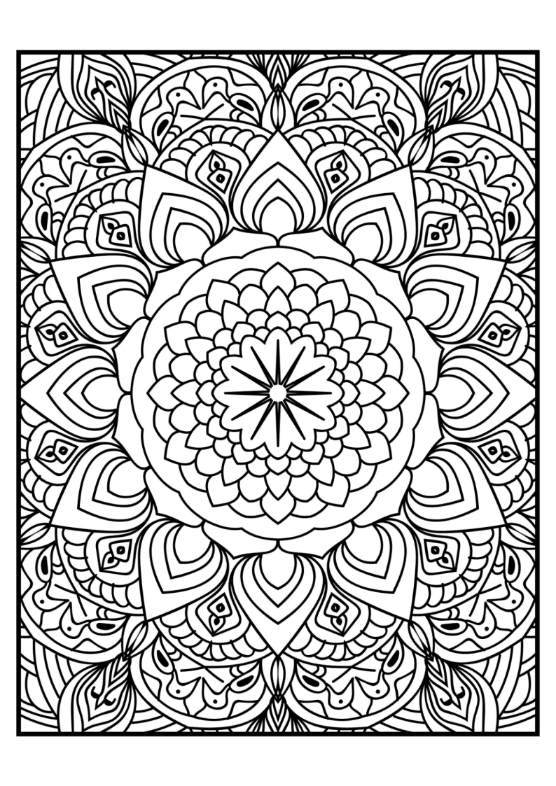Pacote 365 Desenhos Mandalas Para Adultos Colorir PDF Pacote 365 Desenhos Mandalas Para Adultos Colorir PDF