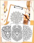 Pacote 365 Desenhos Mandalas Para Adultos Colorir PDF